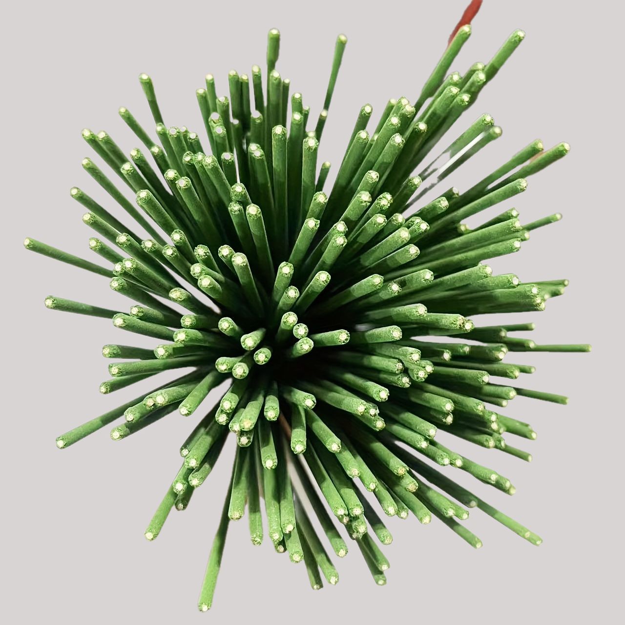 Reed Diffuser Sticks Lemongras - đánh giá và giá Home Fragrance Logo
